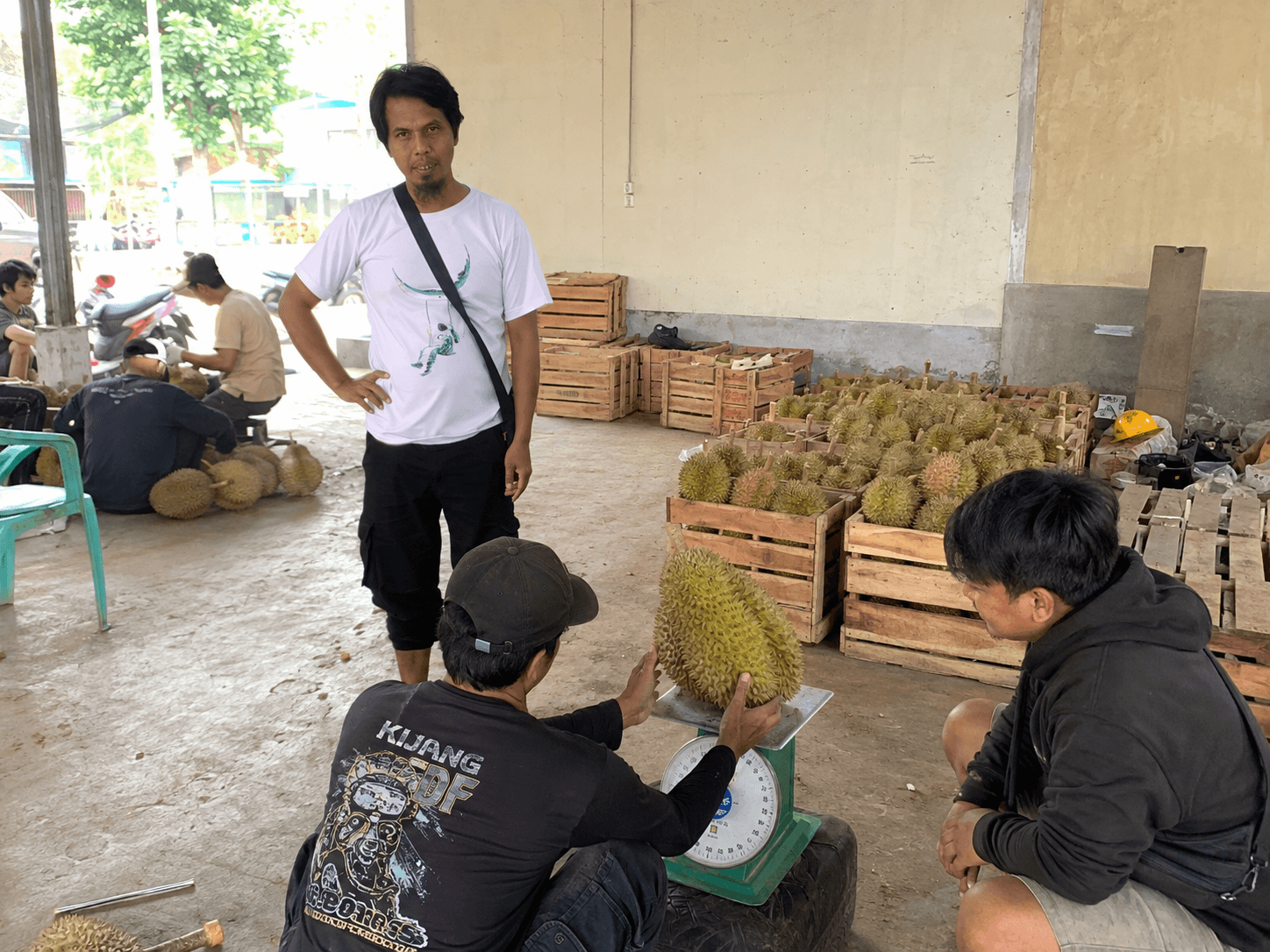 Penimbangan durian Montong grade A di gudang sortir, peti kayu tersusun di belakang